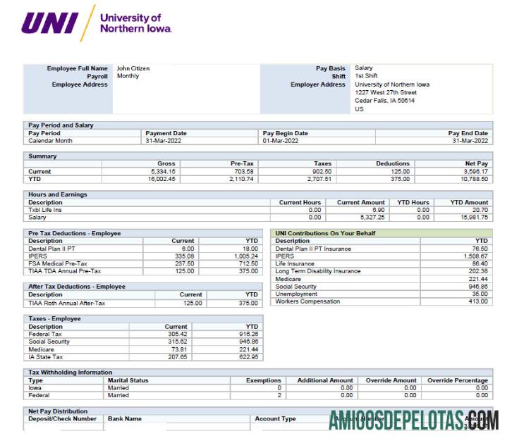 USA UNIVERSITY Of Northern Iowa Paystub em formatos Excel e PDF amostra